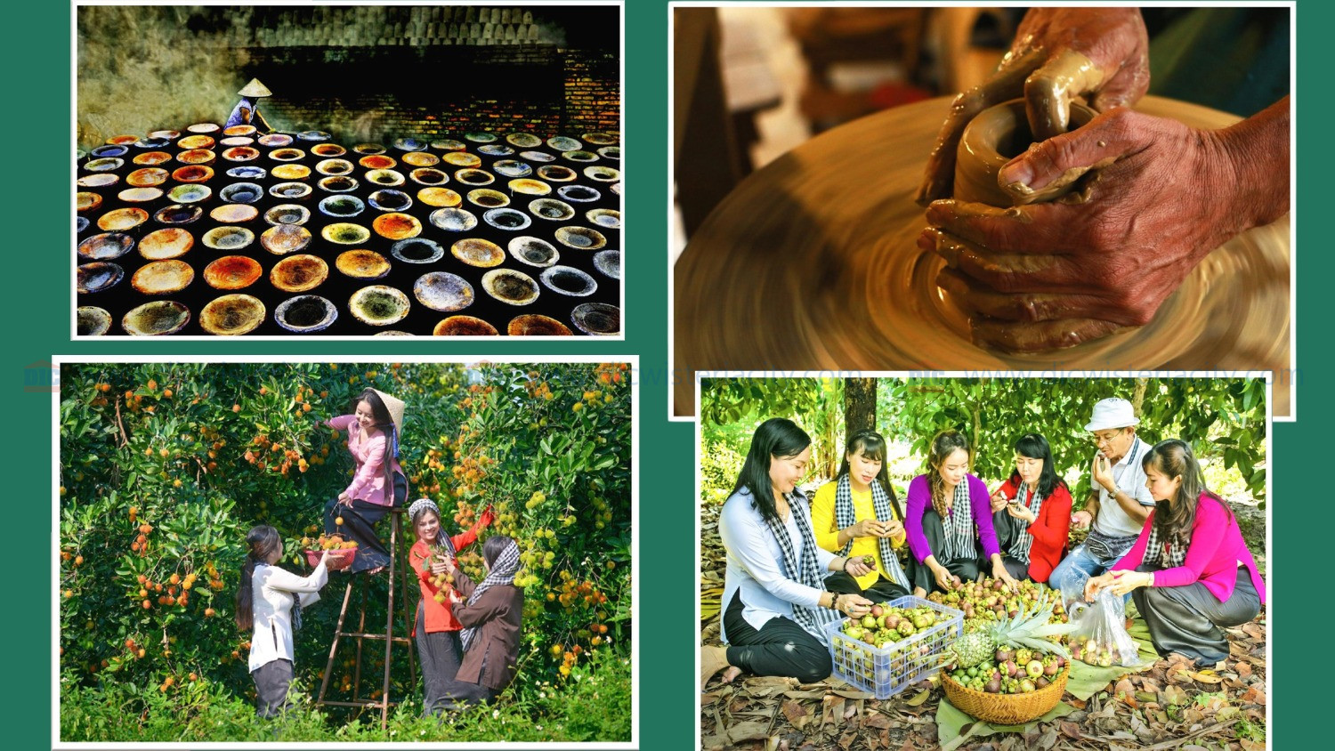 Cảm Hứng Thiết Kế The Emerald Garden View